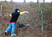 Help The Hooch Cleanup Effort