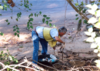 Help The Hooch Cleanup Effort